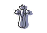 Api