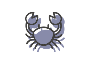 Crustaci_blau